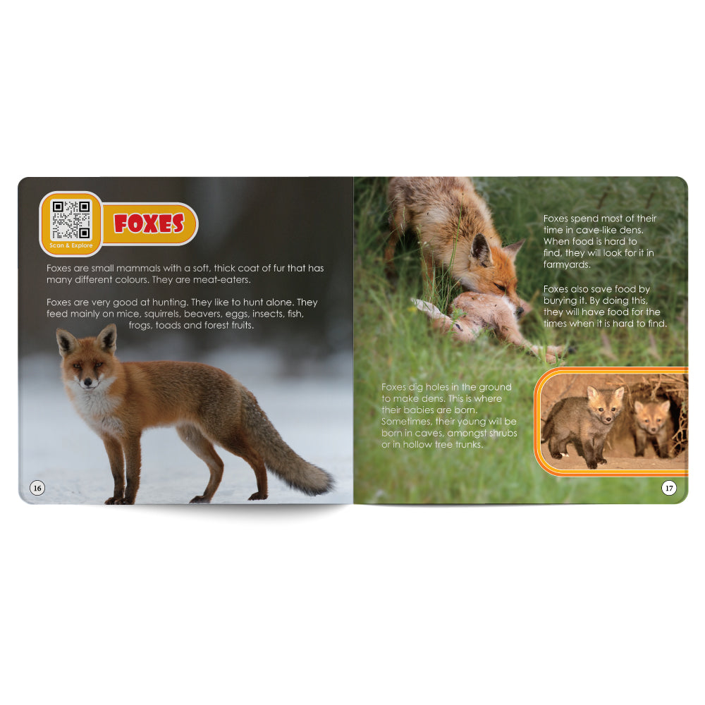 Wild Animals – Book for Kids in English