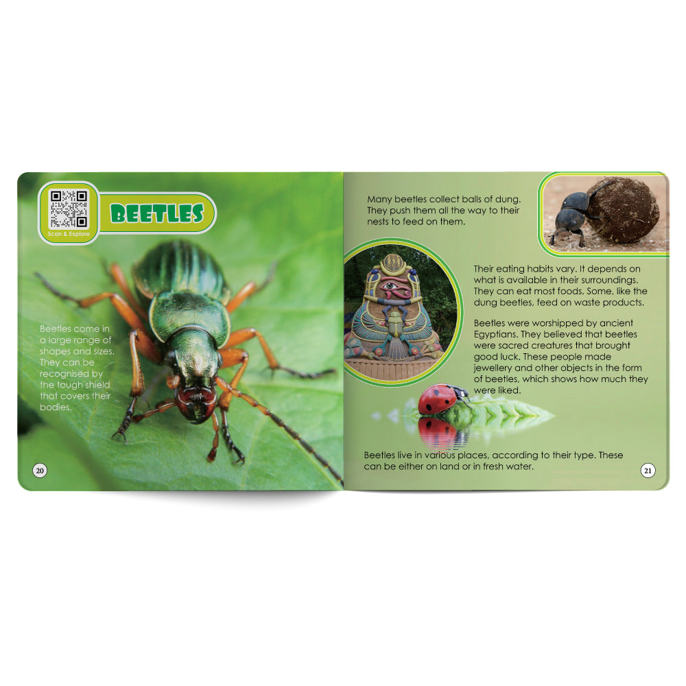 Reptiles And Bugs – Book for Kids in English