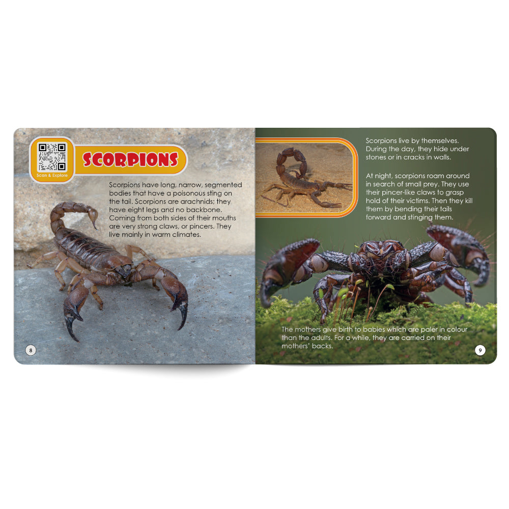 Reptiles And Bugs – Book for Kids in English
