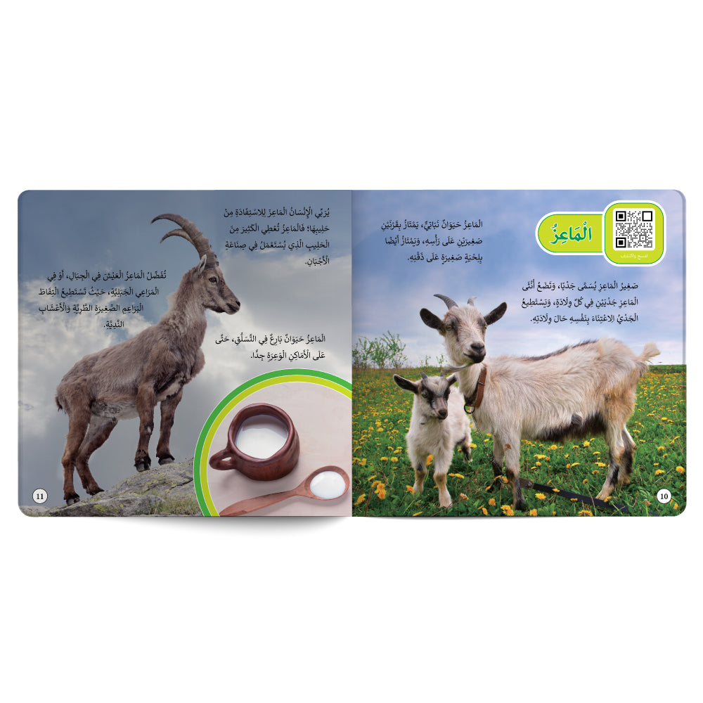 Farm Animals – Book for Kids in Arabic