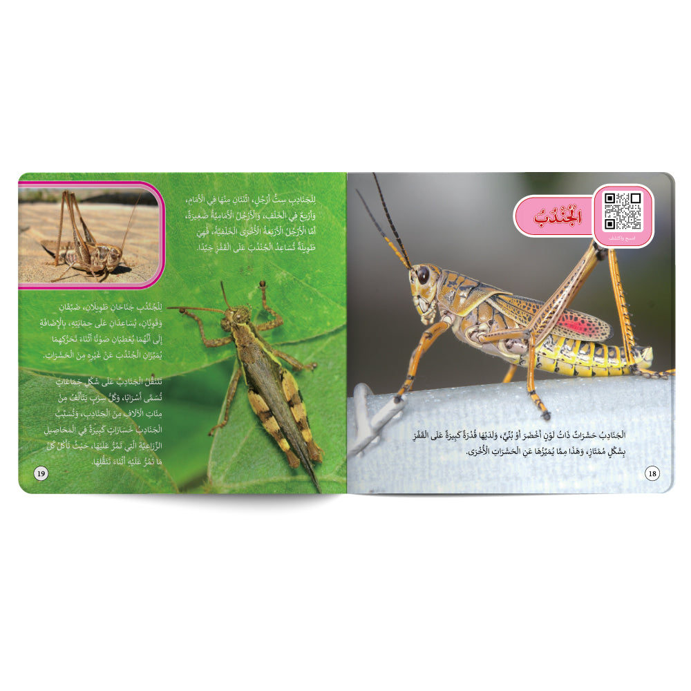 Reptiles And Bugs – Book for Kids in Arabic