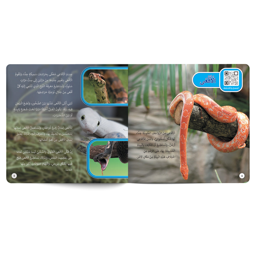 Reptiles And Bugs – Book for Kids in Arabic