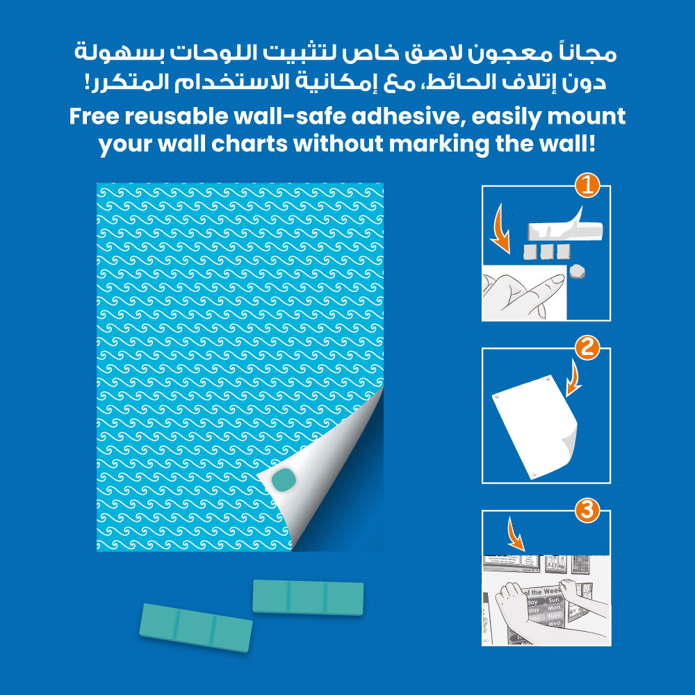 Write-On Charts (1) (6 Wall Charts) - Educational Wall Chart Pack in English
