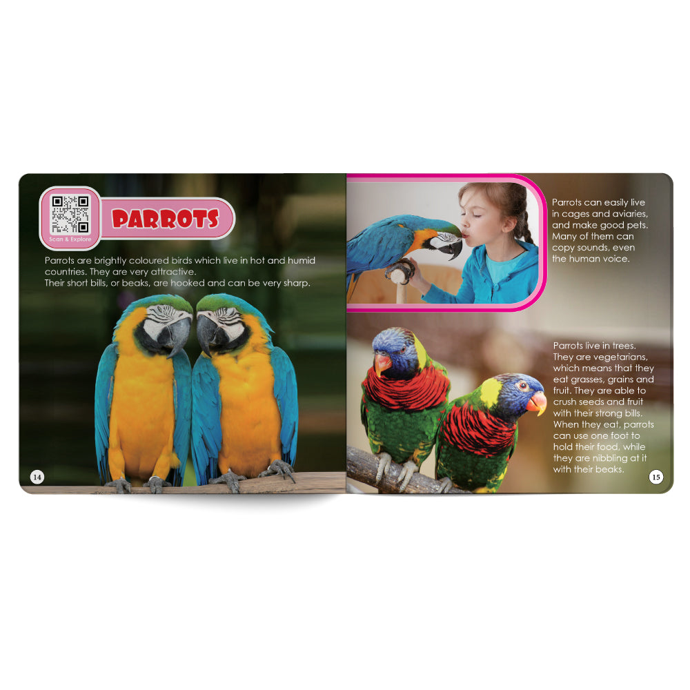 Birds – Book for Kids in English