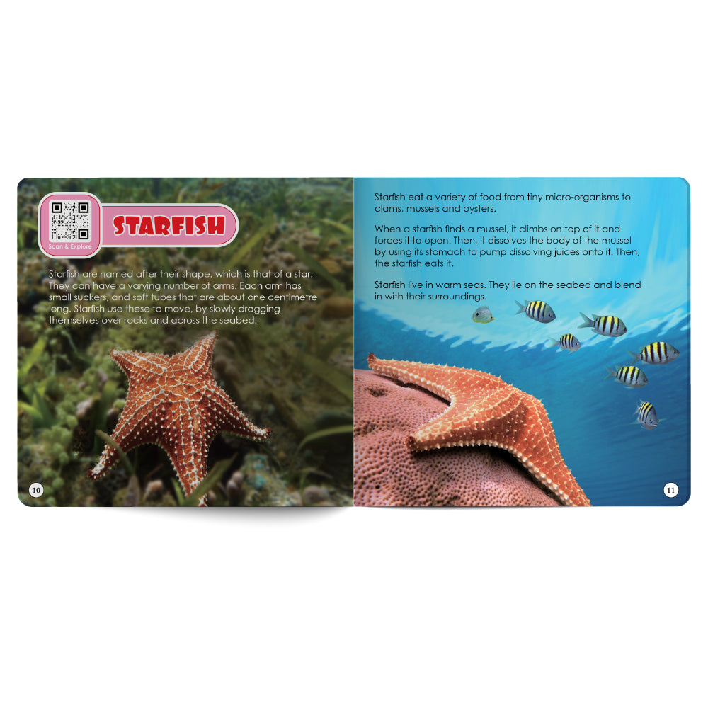 Sea Creatures – Book for Kids in English