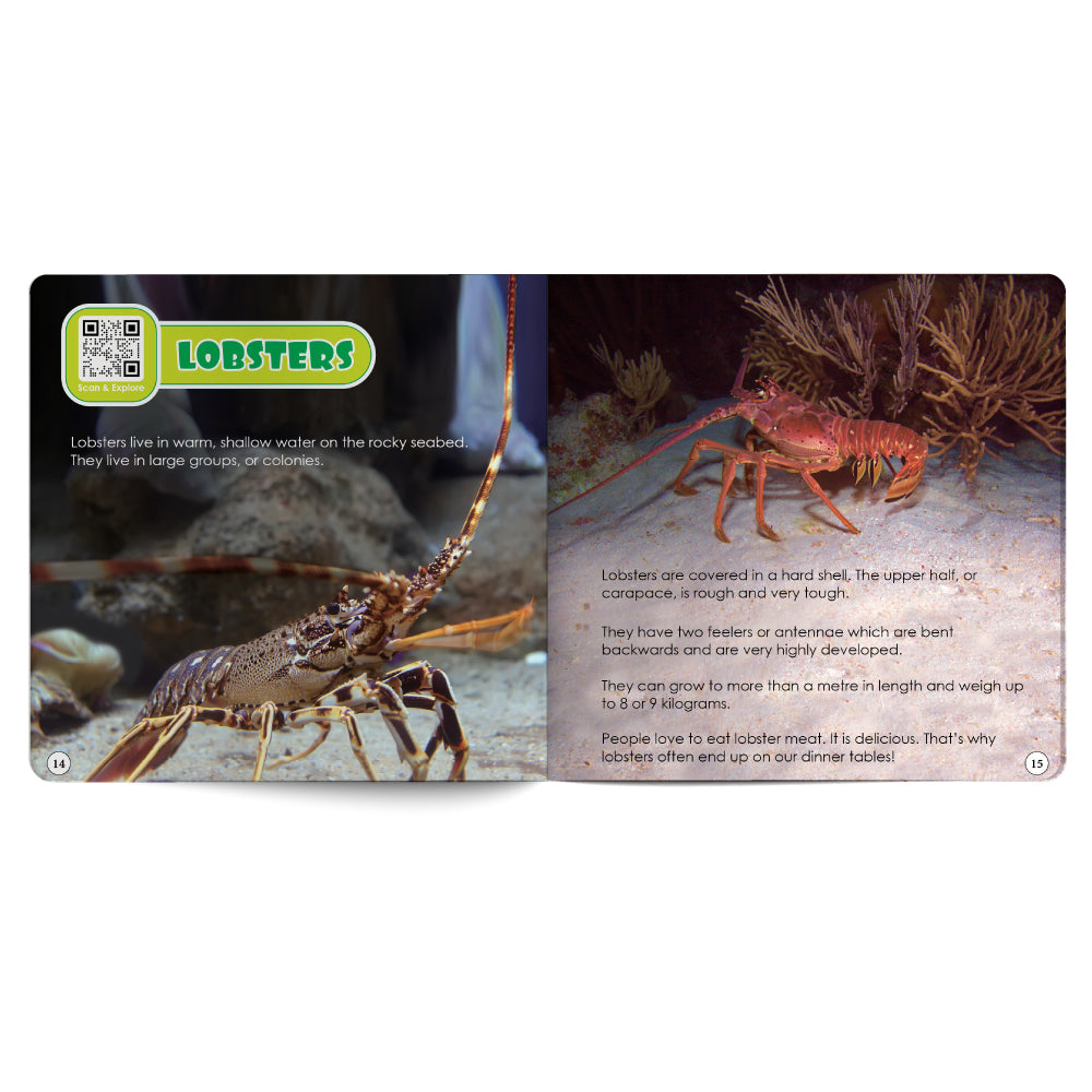 Sea Creatures – Book for Kids in English