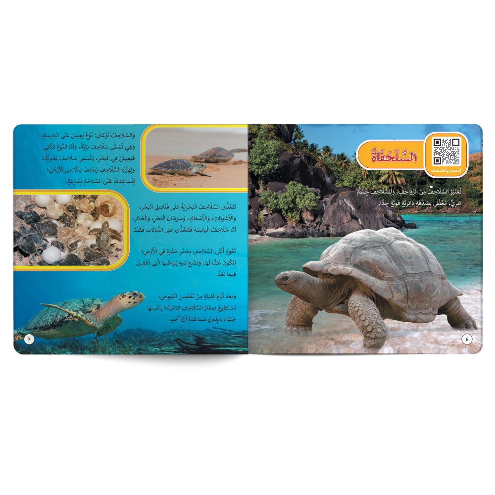 Reptiles And Bugs – Book for Kids in Arabic