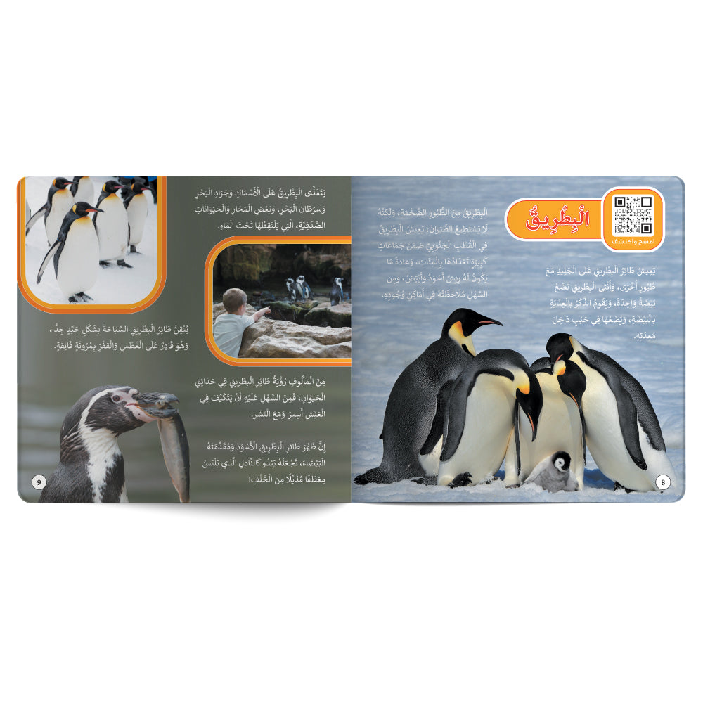 Birds – Book for Kids in Arabic