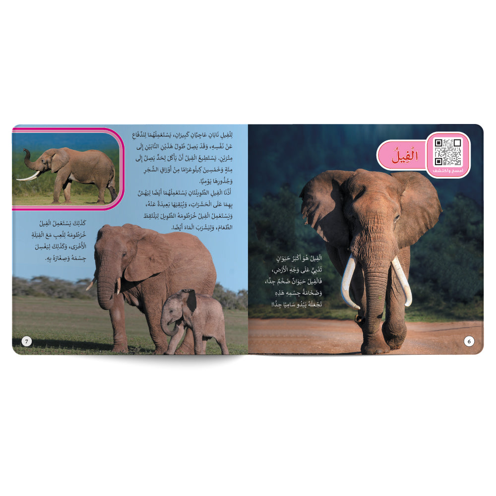Wild Animals – Book for Kids in Arabic