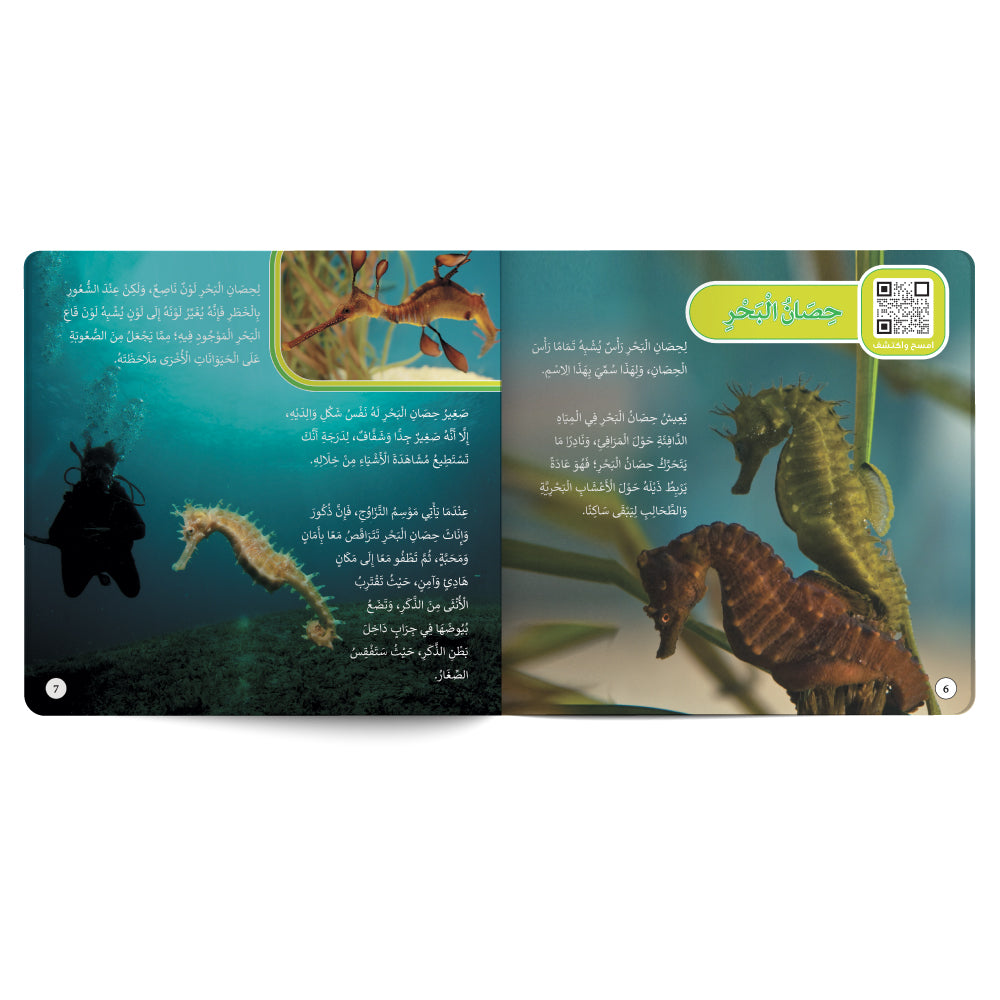 Sea Creatures – Book for Kids in Arabic
