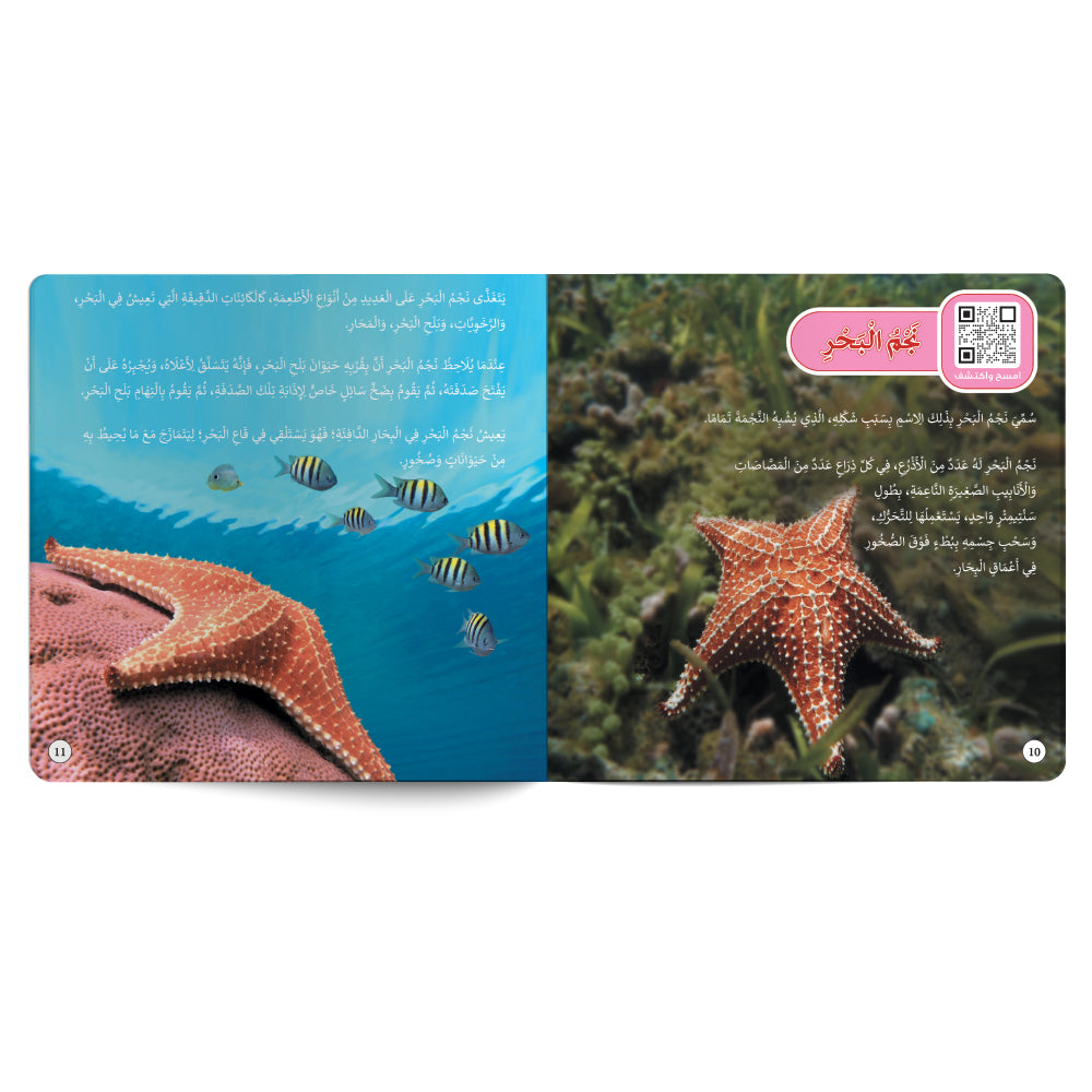 Sea Creatures – Book for Kids in Arabic