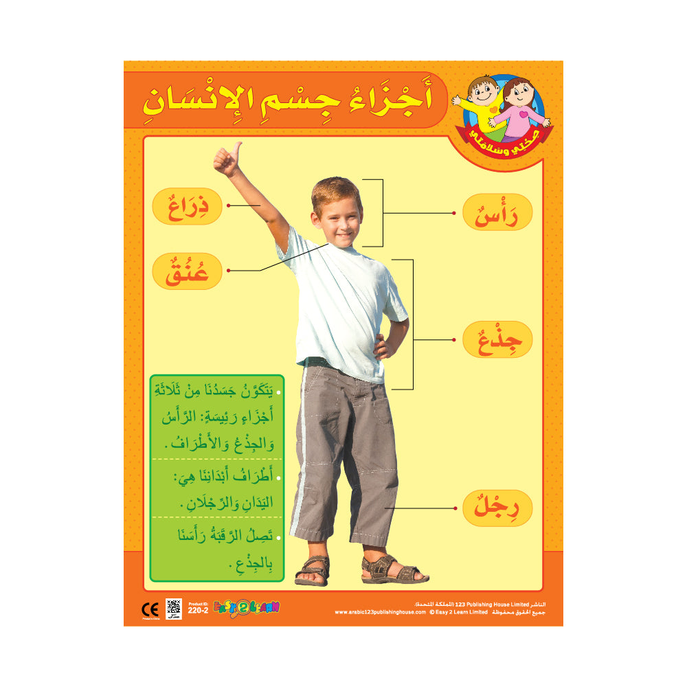 أجزاء جسم الإنسان - لوحة تعليمية باللغة العربية