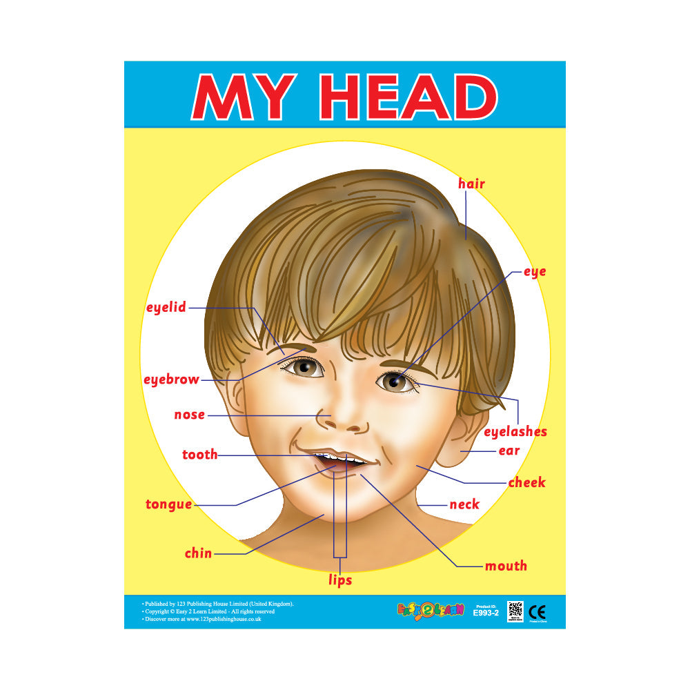 My Head - Wall Chart in English