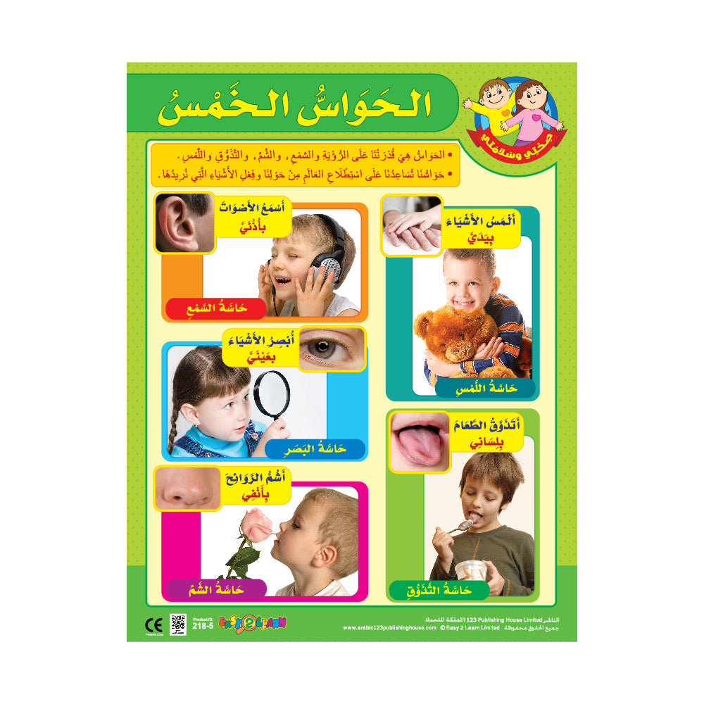 The 5 Senses - Wall Chart in Arabic