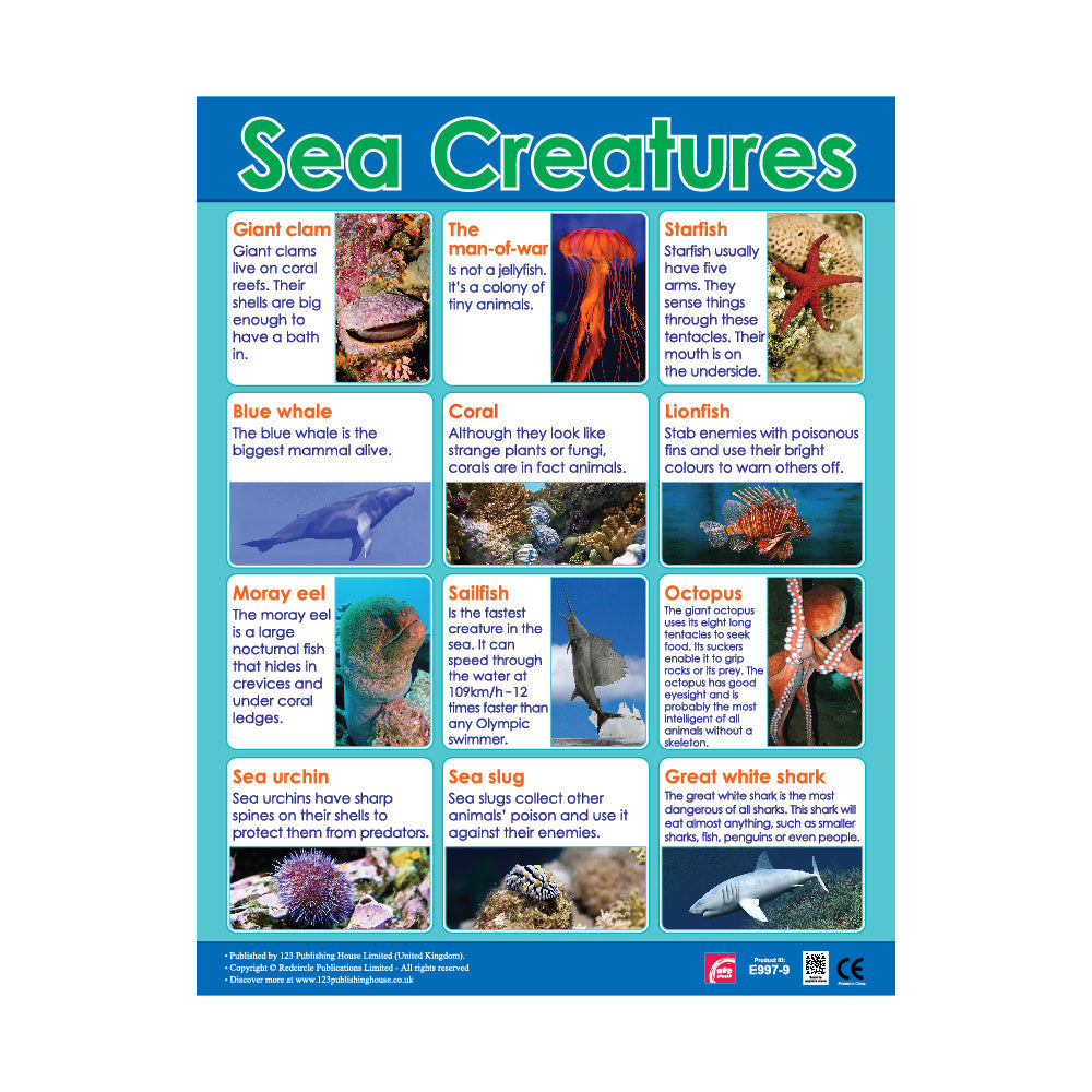 Nature's Wonders (6 Wall Charts) - Educational Wall Chart Pack in English